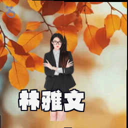 林雅文